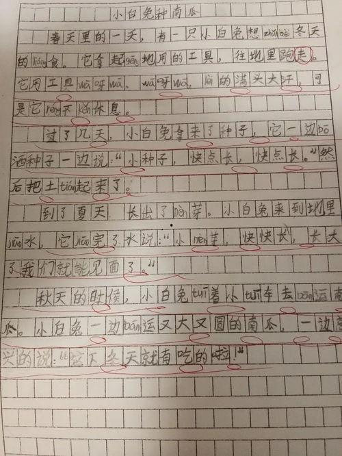 吃瓜大赛作文600字,一场舌尖上的吃瓜大赛